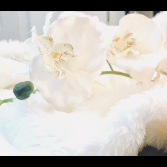 Meet your Posher, MrsDuttry - Picture 1 of 2